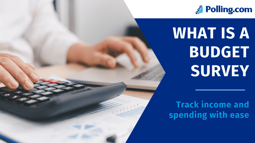 what is a household budget survey showing income and expense tracking